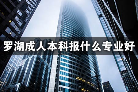 罗湖成人本科报什么专业好