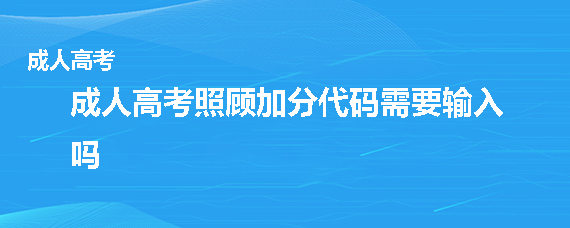 成人高考照顾加分代码需要输入吗