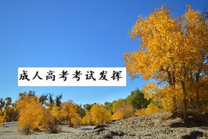 成人高考考生如何得高分?考场中这样做发挥更好