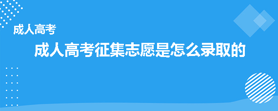 成考征集志愿是怎么录取的