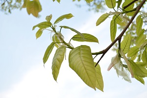 自考的专业有哪些特点?自考院校和专业应该如何选择?