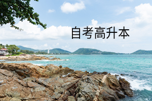 自考高升本每年可以进行几次报考?