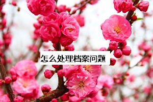 自考毕业生怎么处理档案问题,你知道吗?