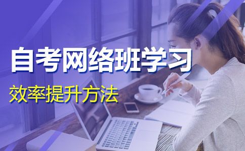 提升自考网络班学习效率的方法有哪些?