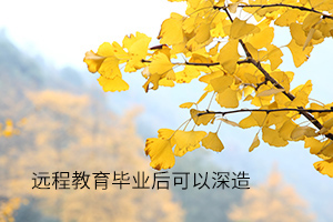 远程教育毕业后能深造吗?远程教育毕业后能不能考研?