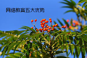 网络教育越来越受欢迎?5个优势告诉你,这可不是虚的!