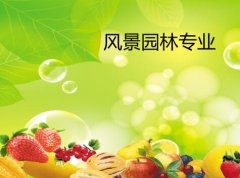 华南农业大学成人高考风景园林高起本专业